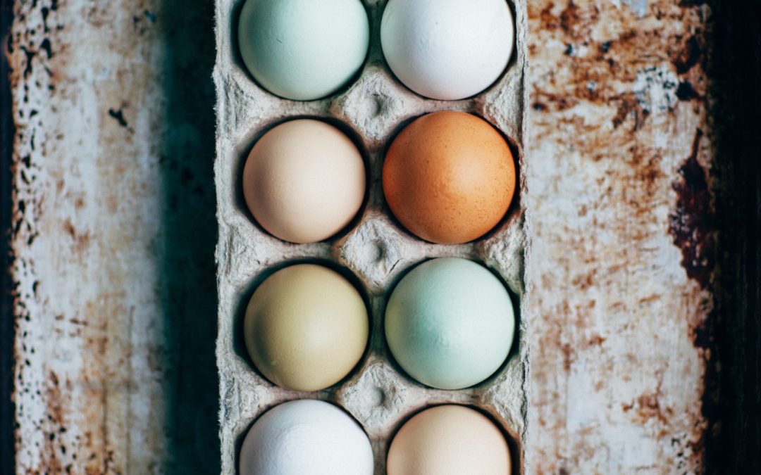 Huevos: cómo descifrar los códigos y evitar los engaños.